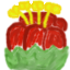 Amprphophallus