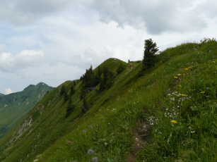 Hochstarzel-Grat