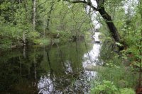 Umtragestelle Korslangsmedia