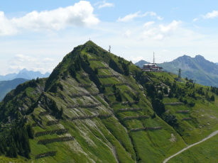 Walmendinger Horn