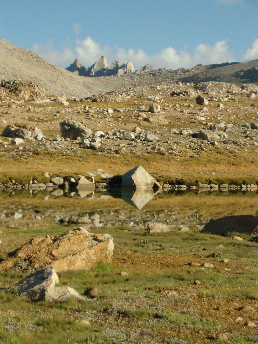 Blick auf den Harrison Pass