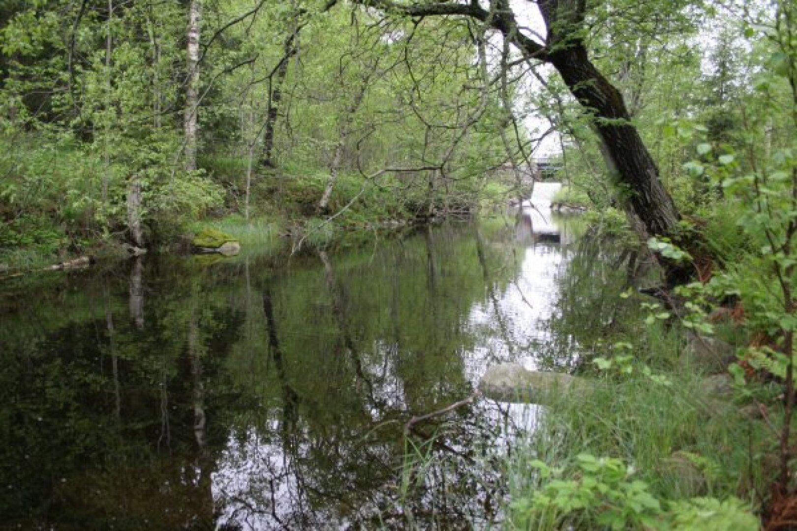 Umtragestelle Korslangsmedia