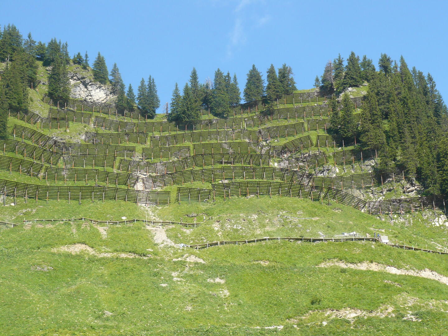 Lawinenschutz am Walmendinger Horn