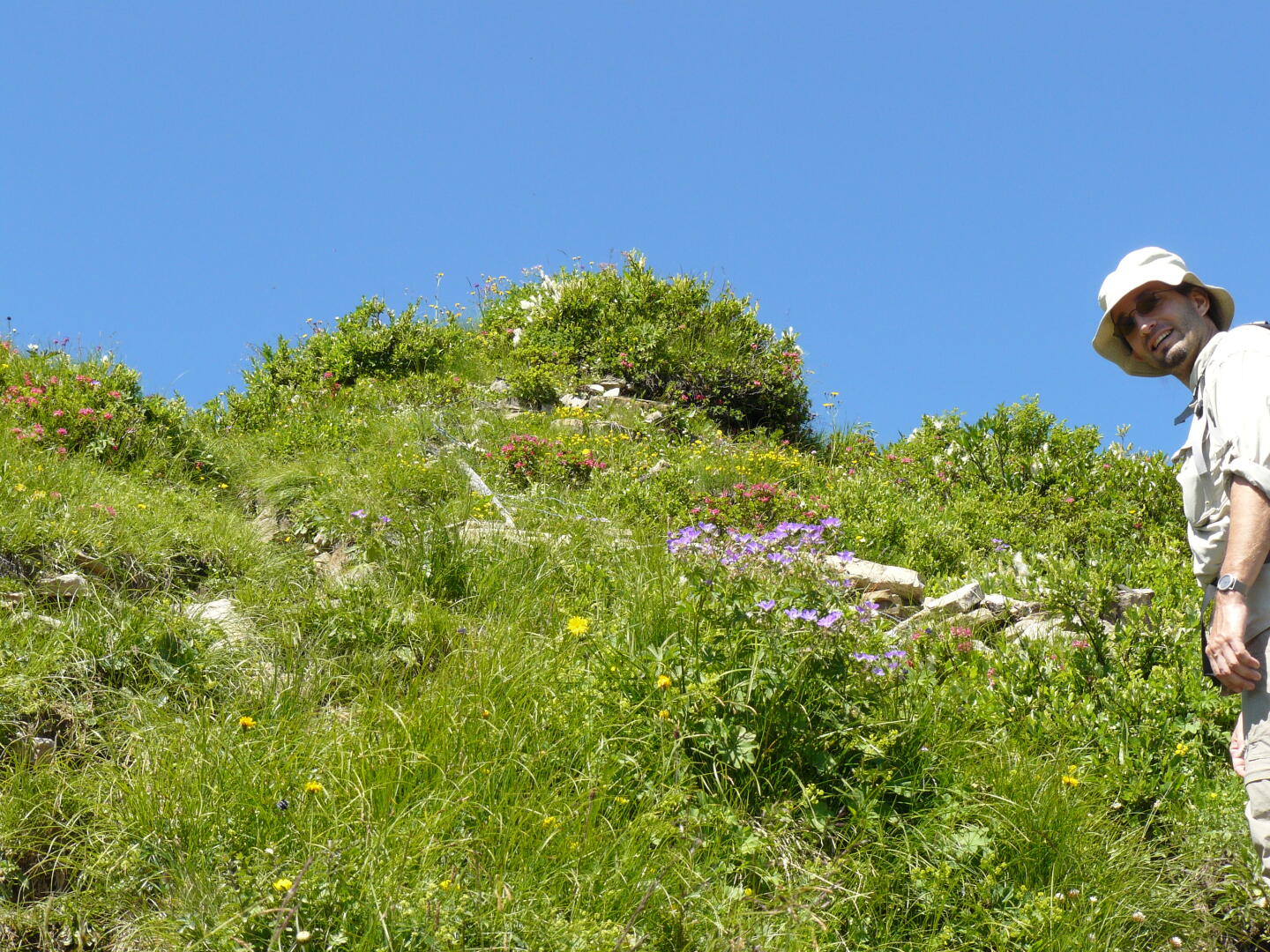 Da linst jemand ins Bild