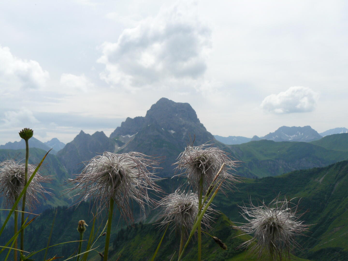 Blick vom Hochstarzel zum Widderstein