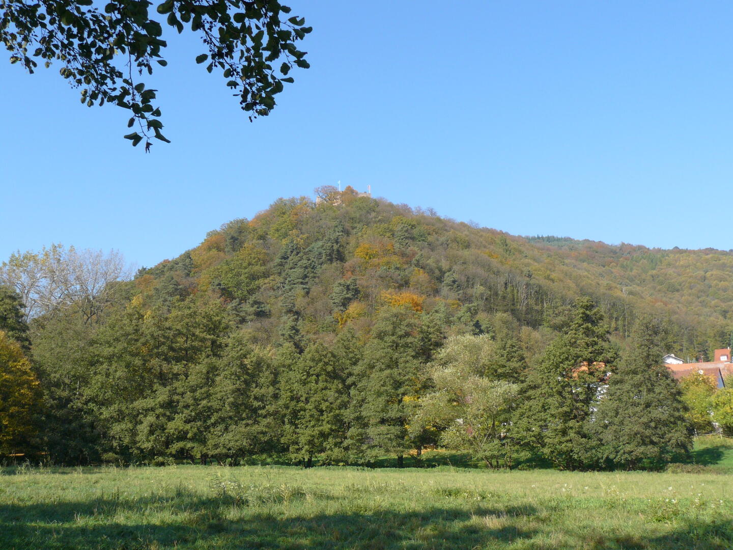 Die Burgruine Landeck von Klingenmünster aus gesehen