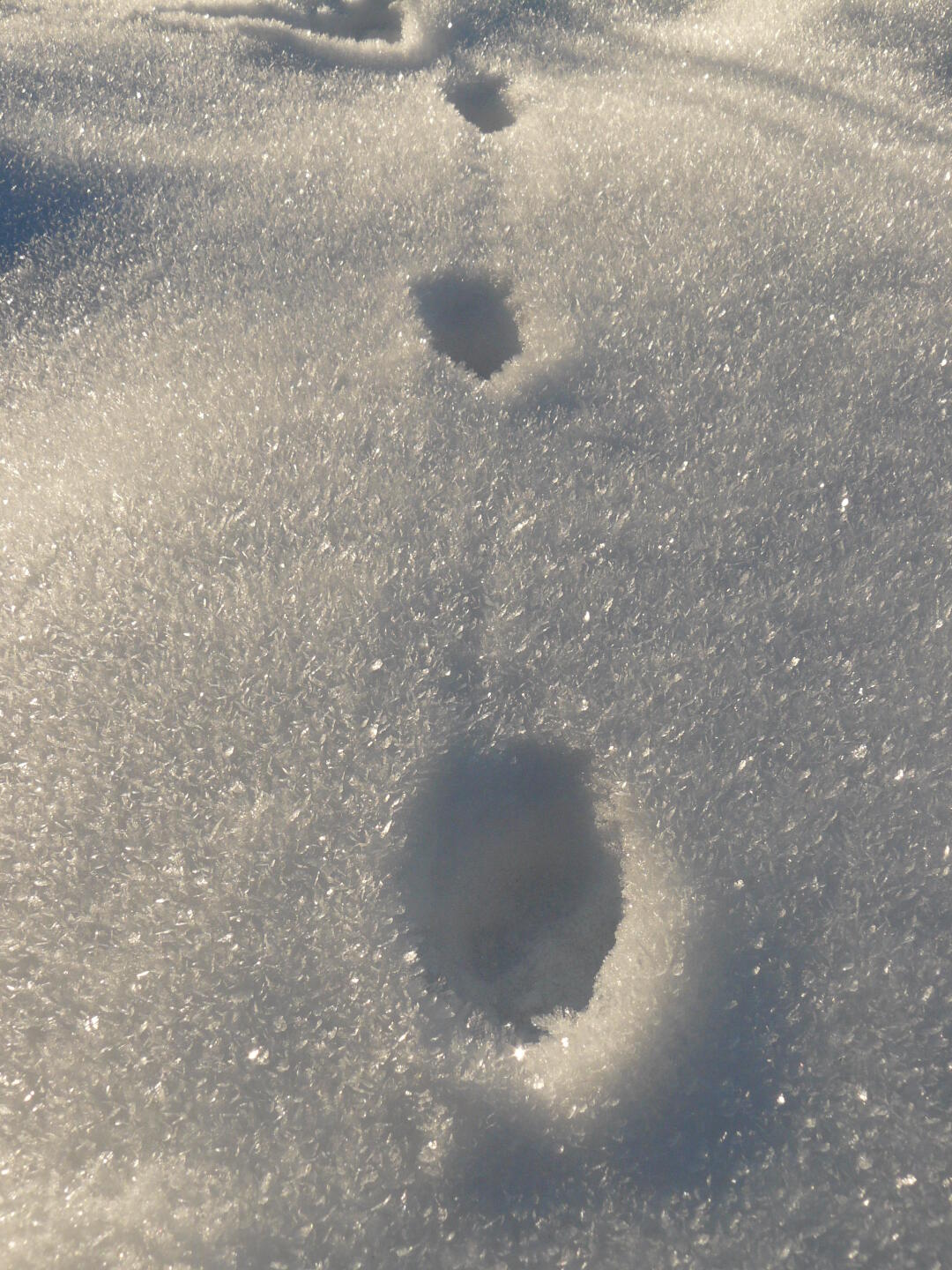 Spuren im Schnee