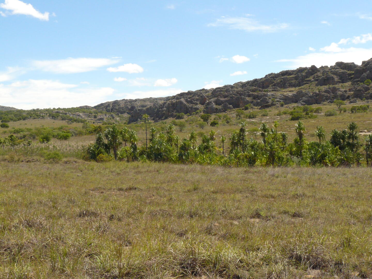 Mitten in der Steppe ist eine Oase.