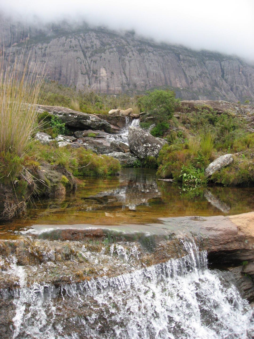 Die Gipfel hinter dem Camp sind in den Wolken versteckt.