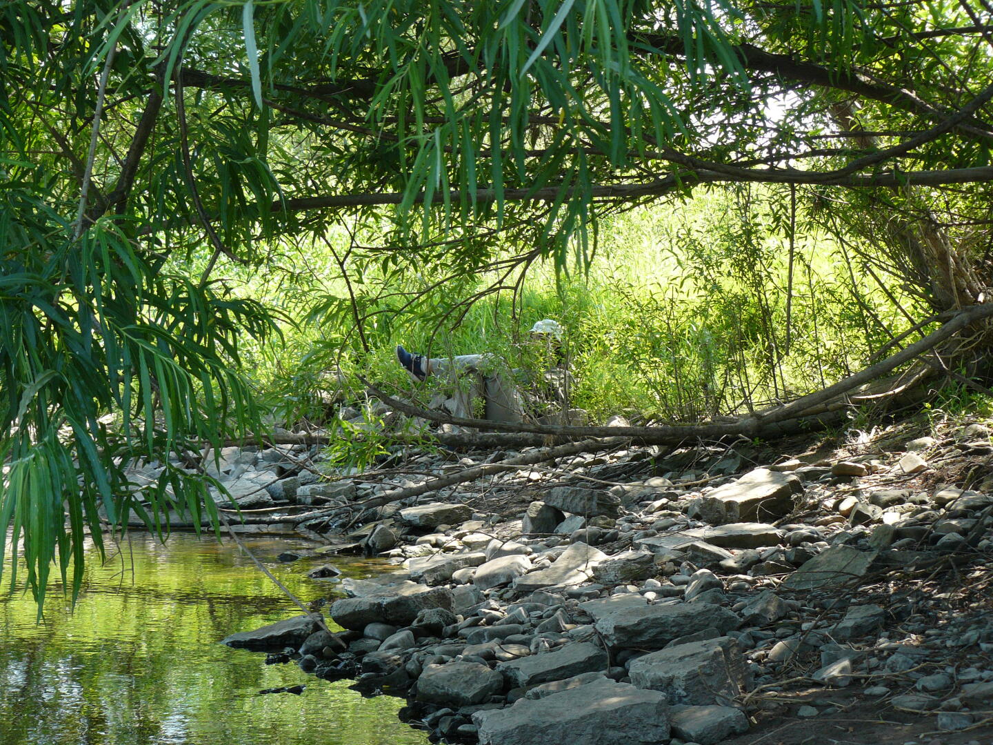 Ruhepause im Schatten.