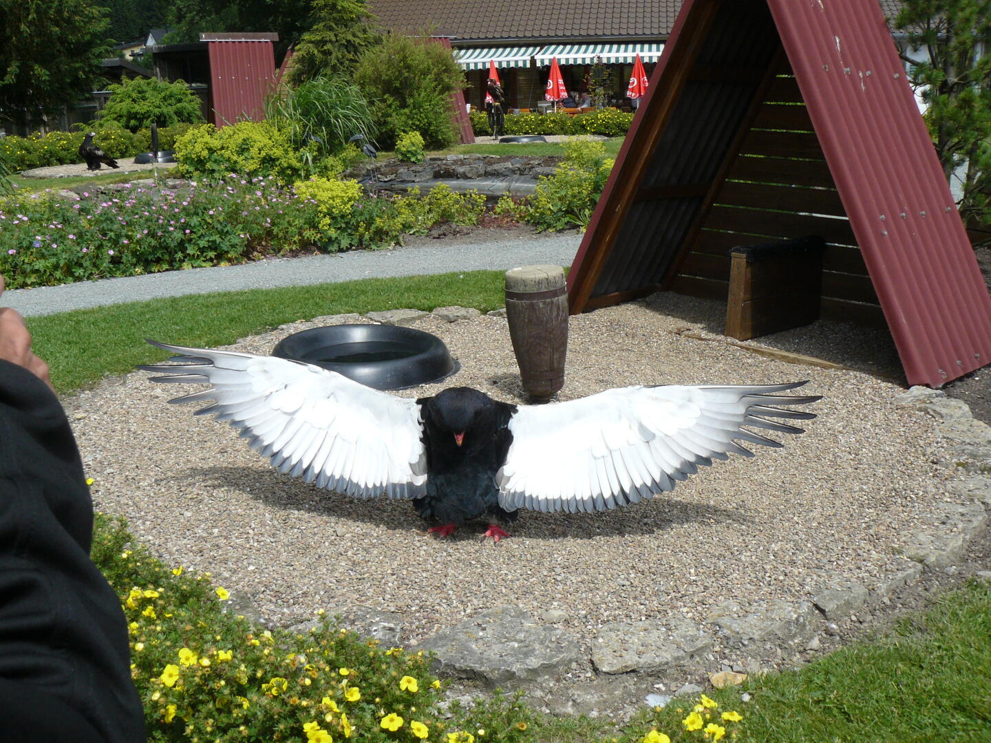 Ein Gaukler präsentiert sich.