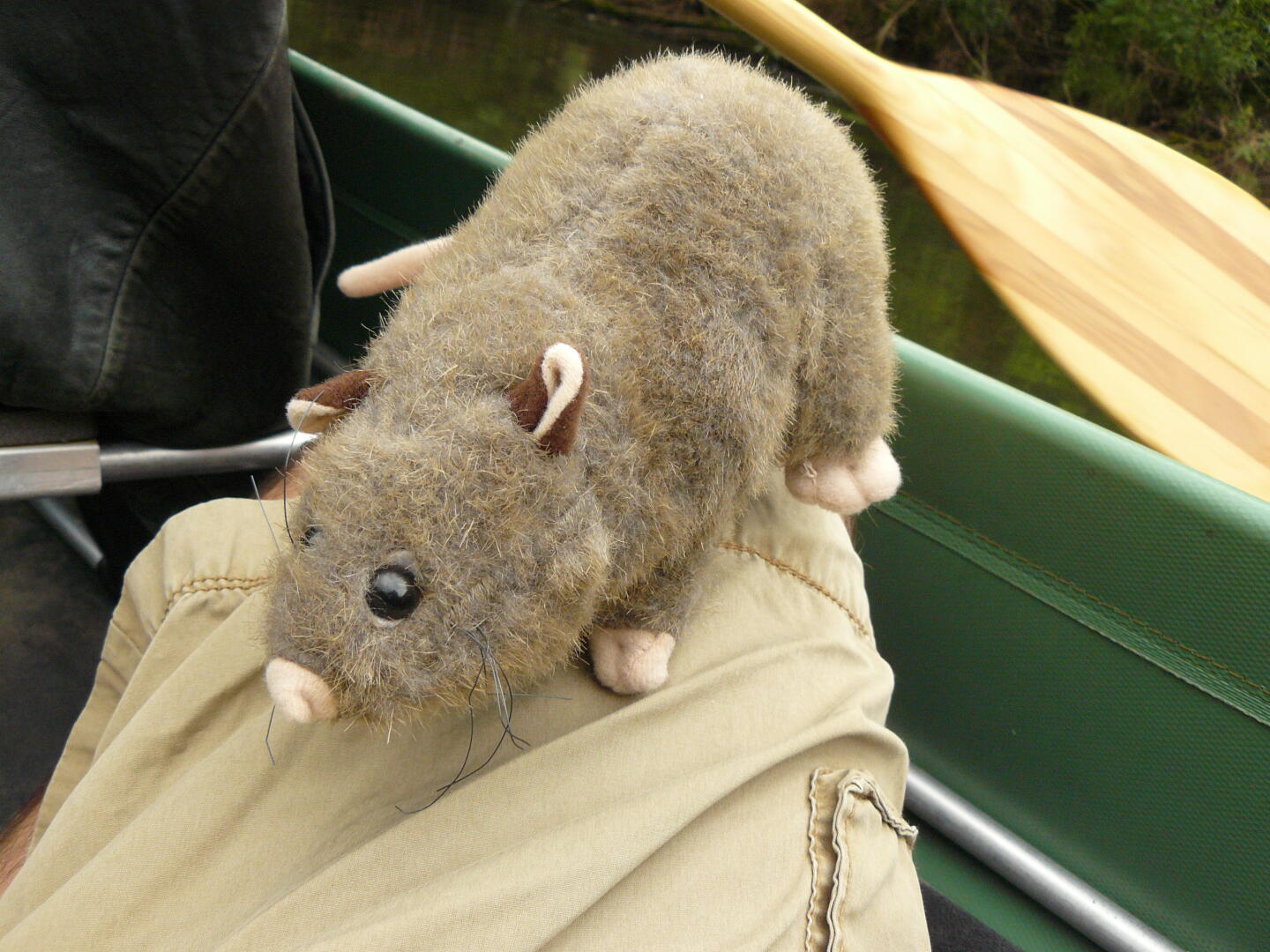 Auch unser Maskottchen Josephine genießt die Fahrt.