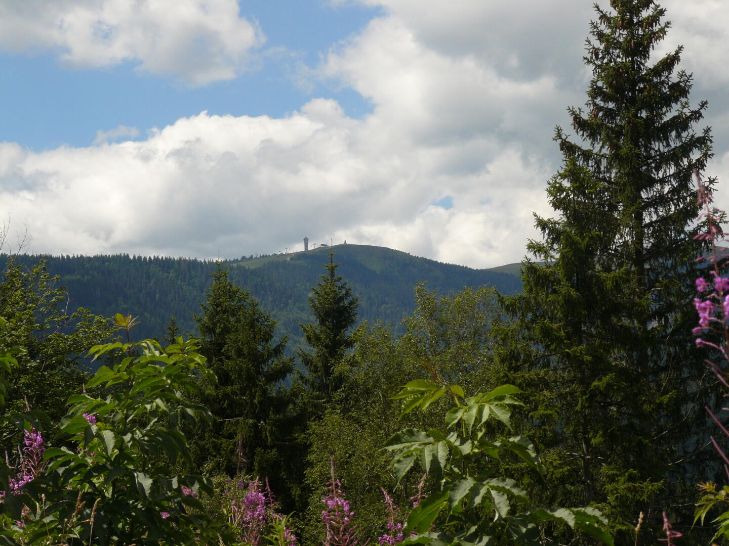 ...und Ausblick auf das mindeste Ziel: den Feldberg.