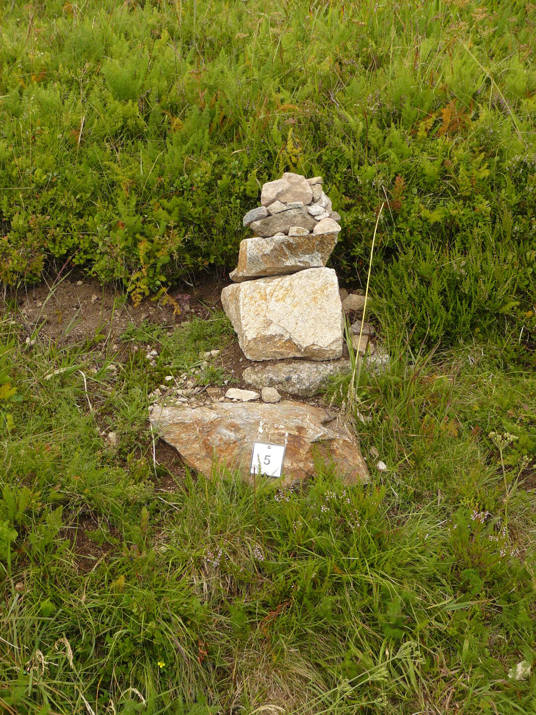 Steinhaufen Nr. 5...