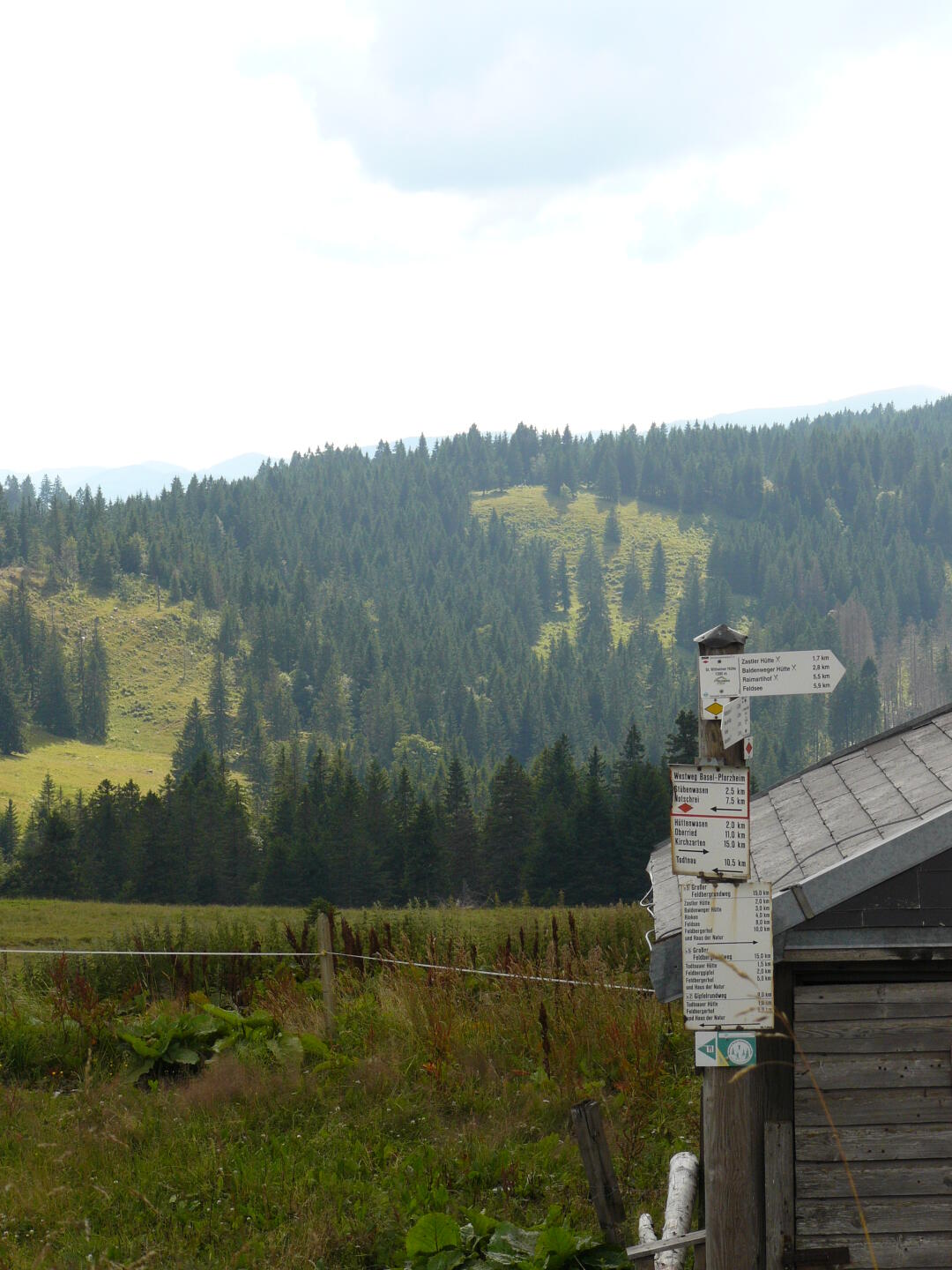 Zuviel Auswahl bei den Abzweigungen ...