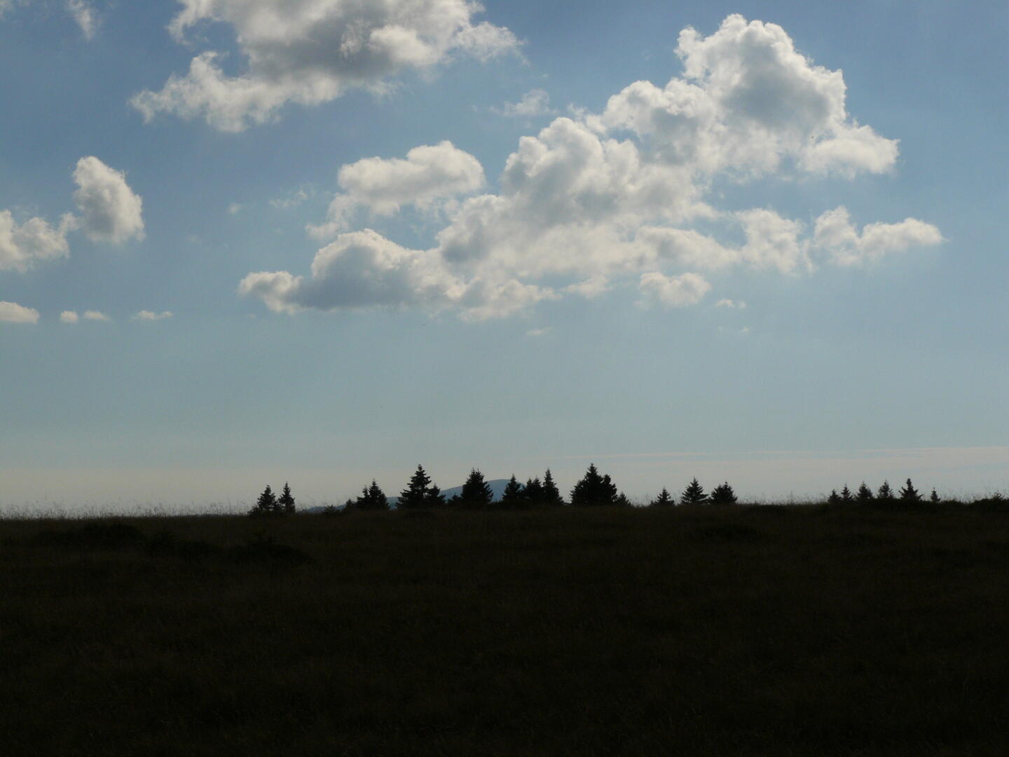 Das Ziel für morgen -- inzwischen hab ich die Karte besser studiert -- ist der Belchen. Hier versteckt er sich noch verschämt hinter den Bäumen.