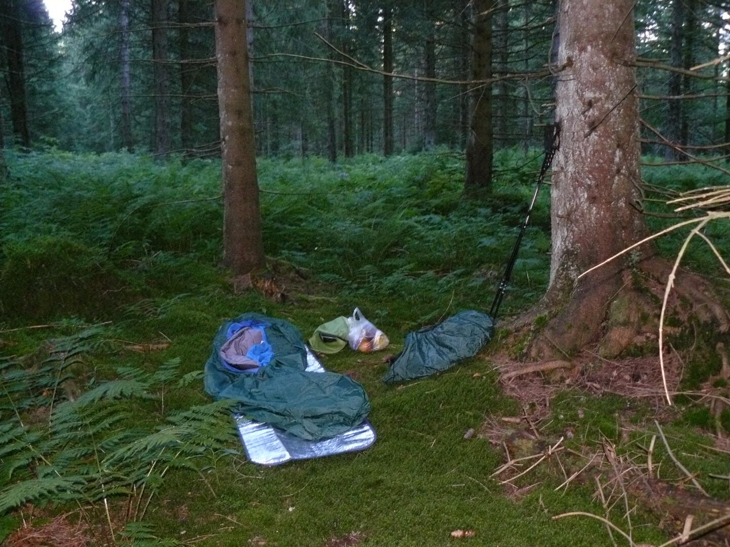 Und hier ist er: erst vom Weg in einen Trampelpfad abgebogen und dann nochmal 5m in den Wald befindet sich eine moosige Stelle, die gerade groß genug für meinen Biwaksack ist.
