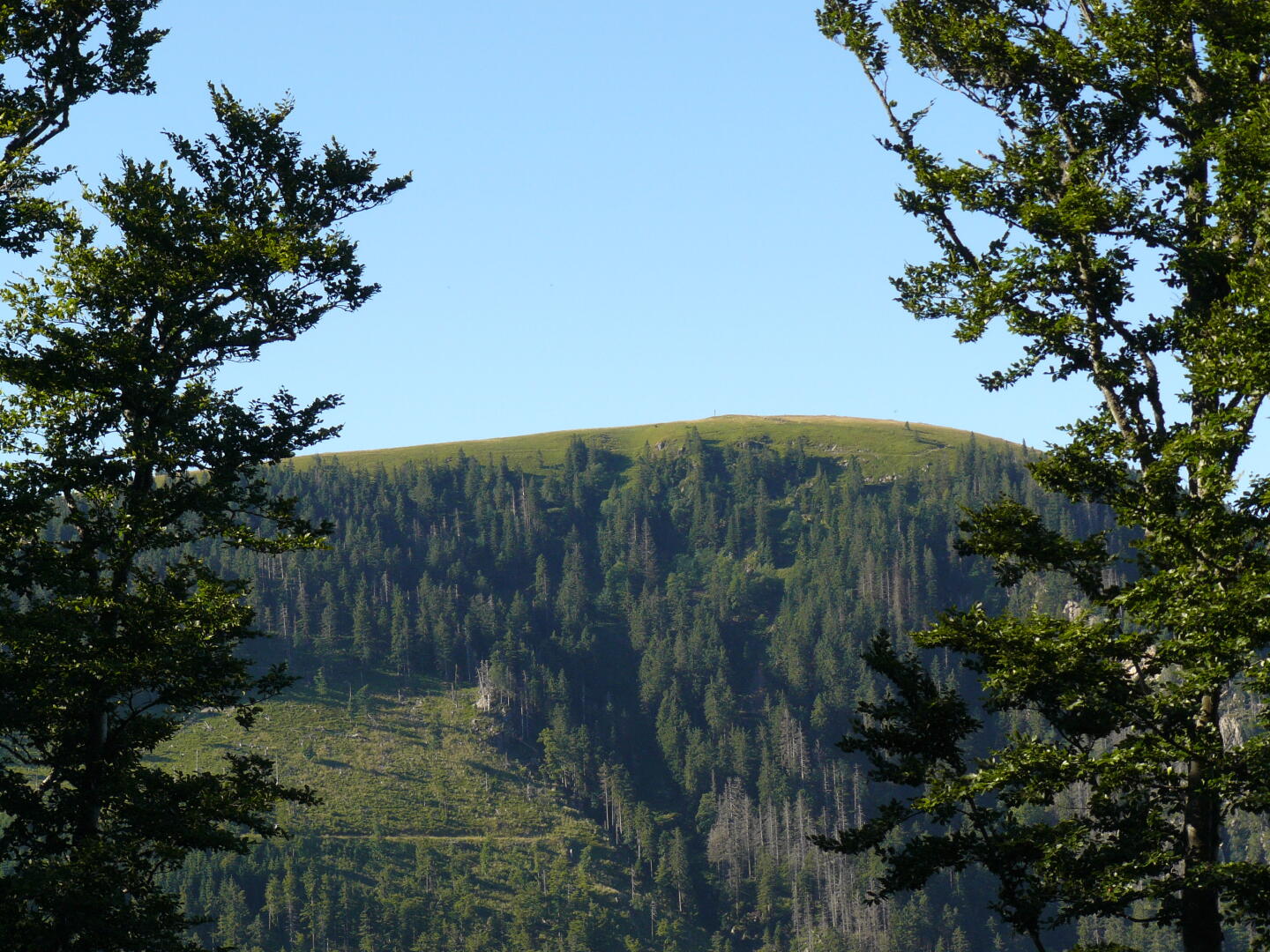 Jetzt ist der Belchen schon ganz nahe. Nur noch 300 Höhenmeter...