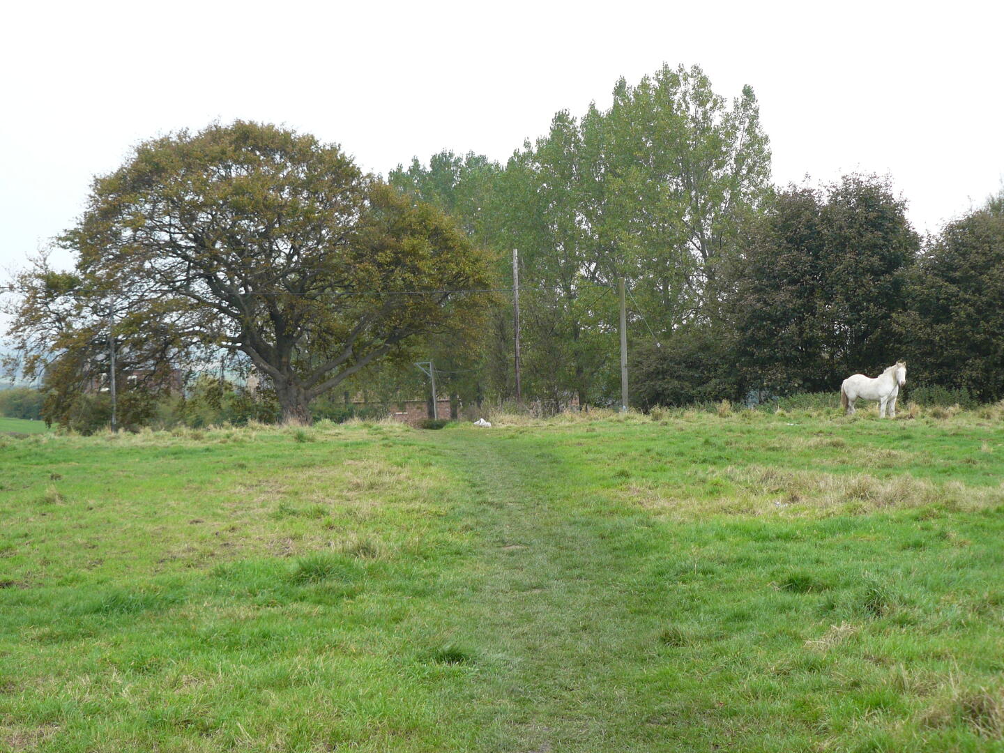 Public footpath - in England darf man teilweise über Privatgrund gehen. Das Pferd ist angekettet, und letzten Freitag beschloss es, die Kette (ide quer über dem Weg lag) genau in dem Moment anzuziehen, wo ich drüber gefahren bin. Weiß nicht, wer sich mehr erschreckt hat, er oder ich.