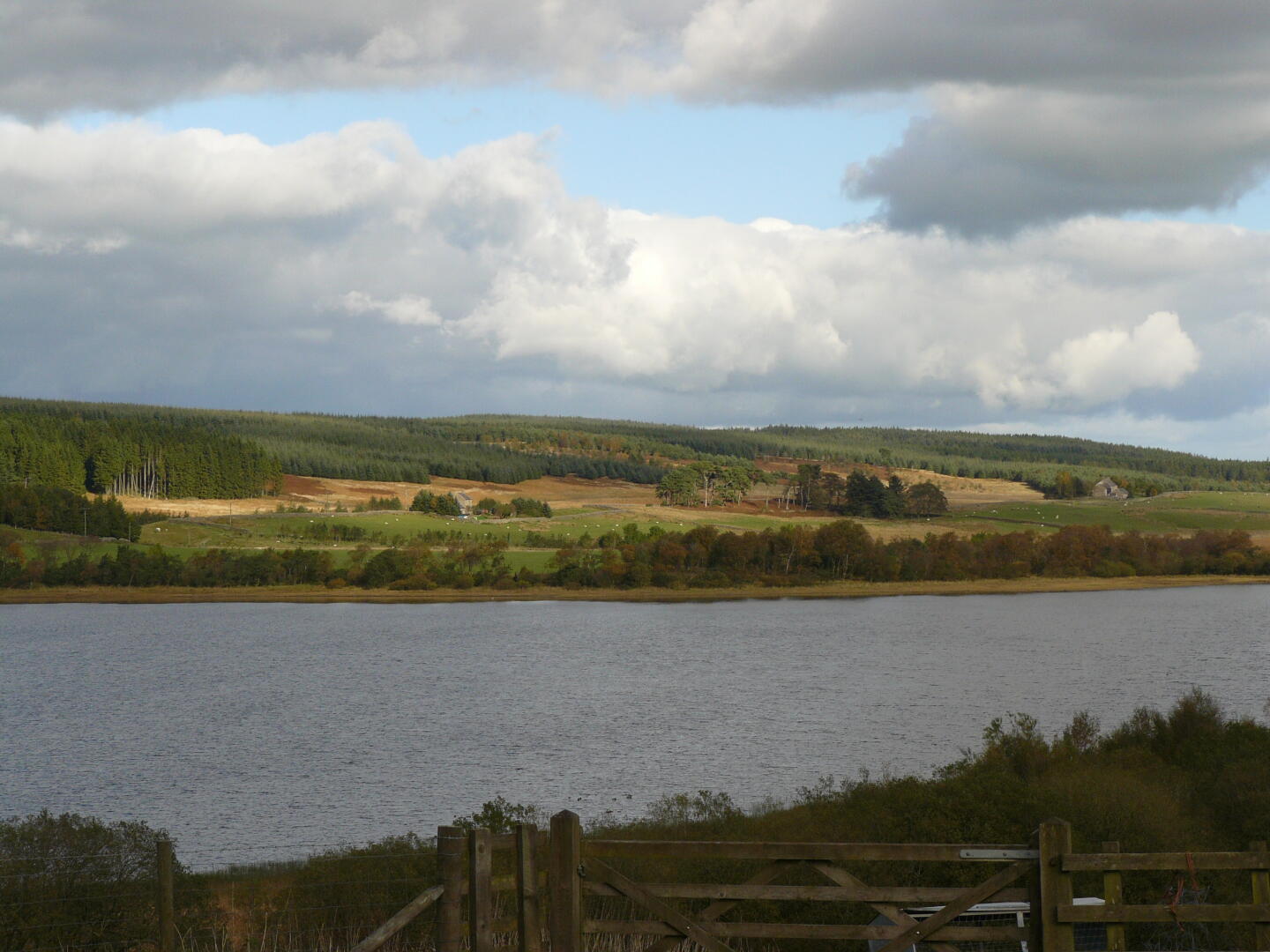 Greenlee Lough.