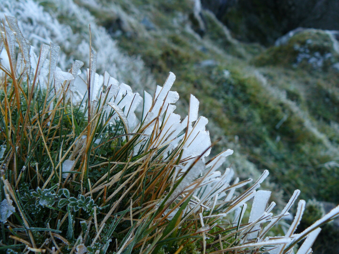 On a cold and frosty morning...