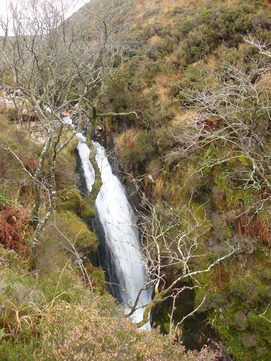 After climbing High Crag, High Stile and Red Peak again and after a short visit to Starling Dodd, we went down towards Crummock Water along a small stream that had may small waterfalls.