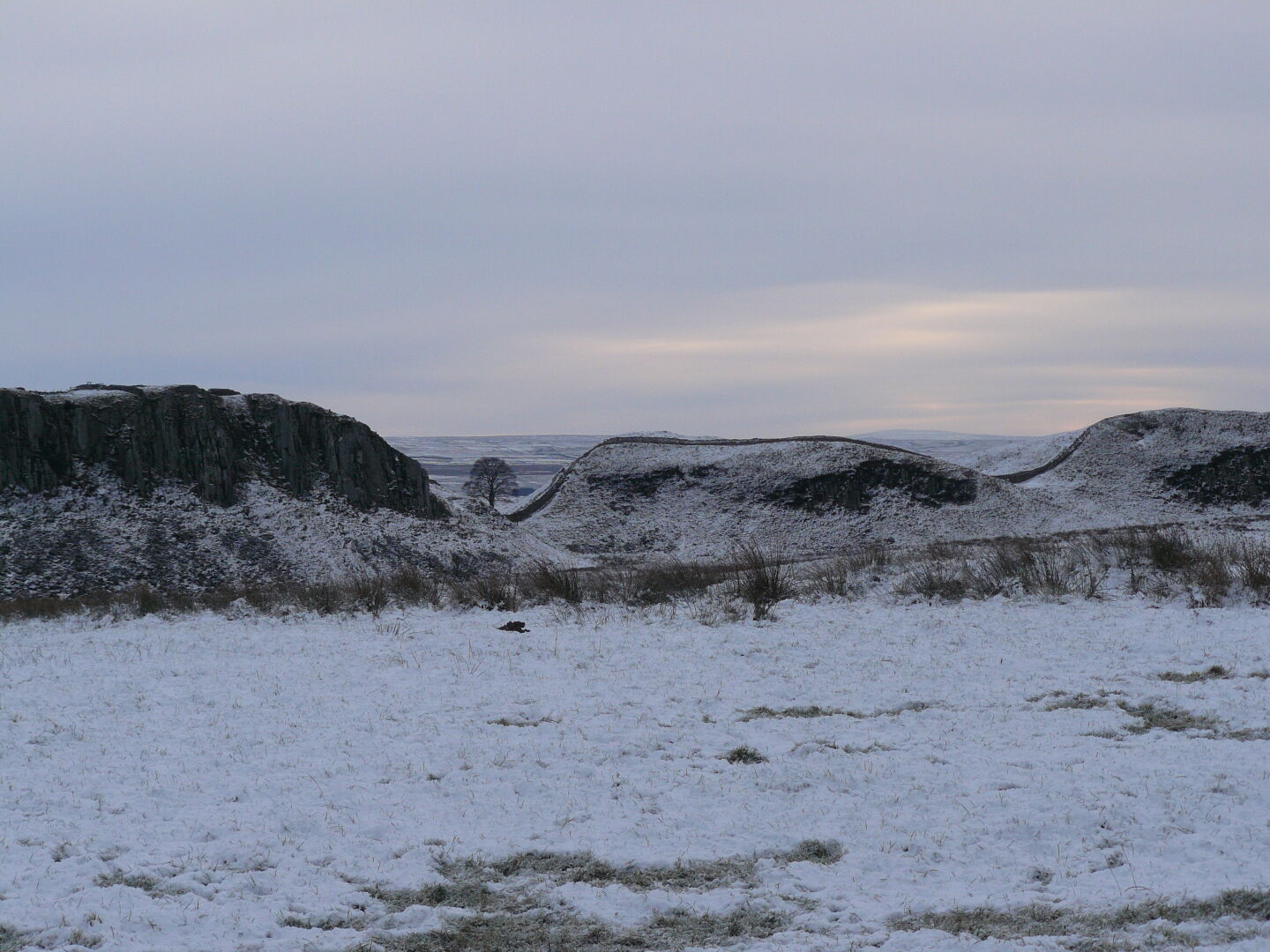 Robin Hood&rsquo;s tree in located in Sycamore Gap.