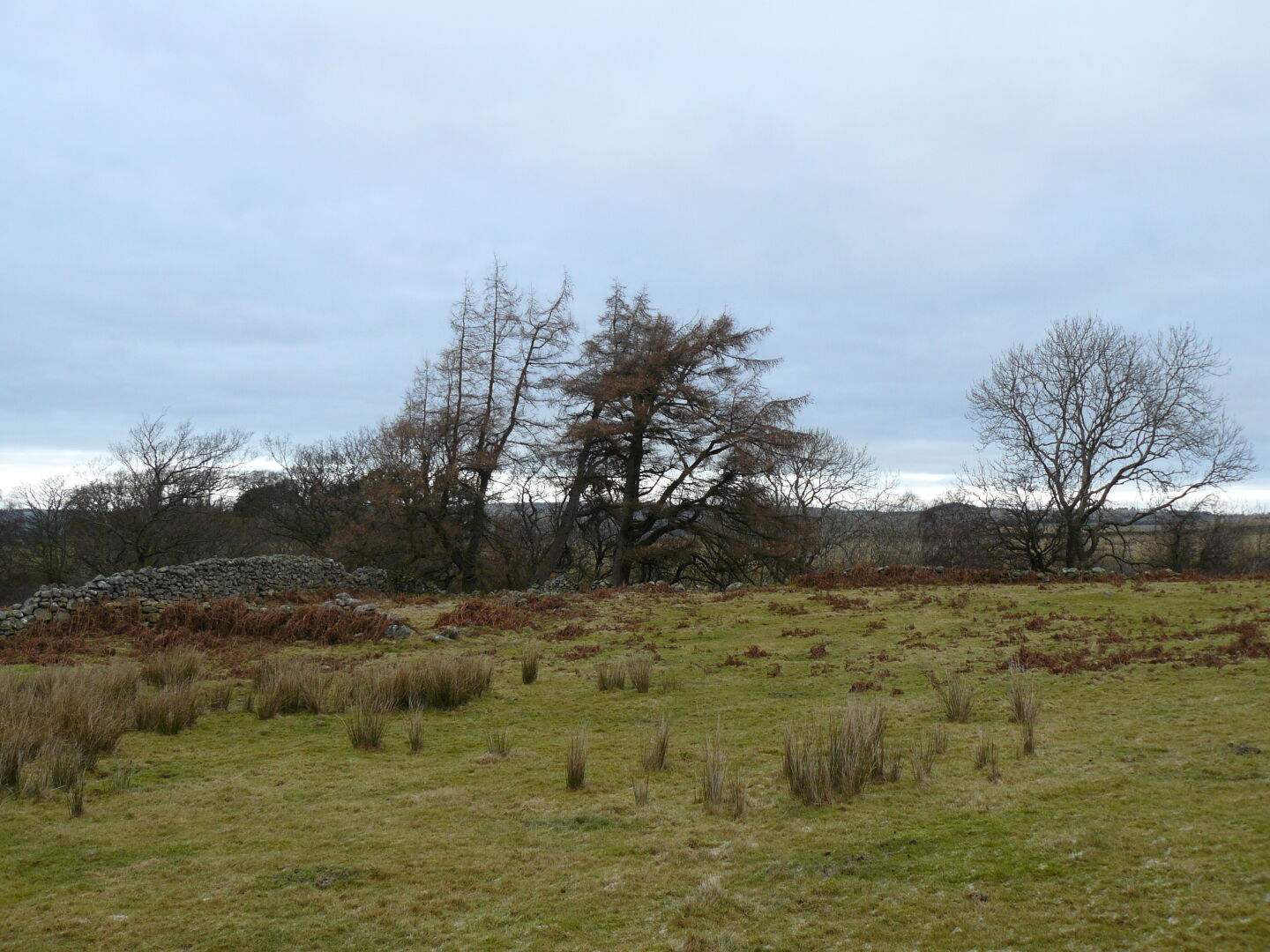 In the Lake district near Threlkeld.