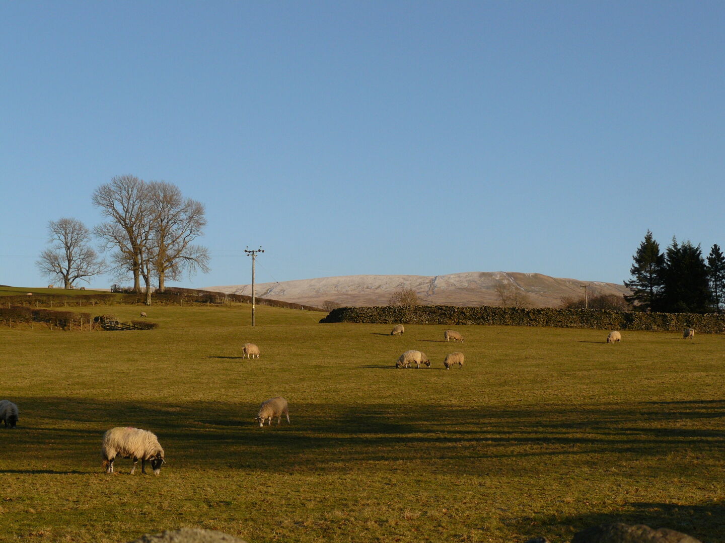 Looking back towards Baugh Fell.