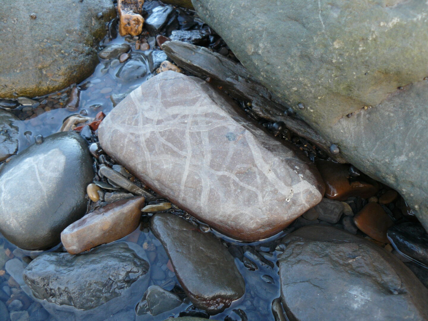But for those who look closely, some fascinating details become visible. Who left these tracks on the stone?