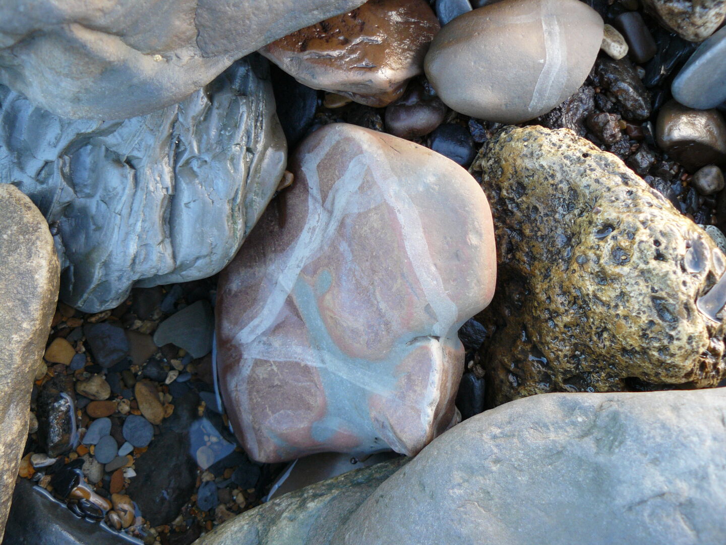 Do the snails make the trails?