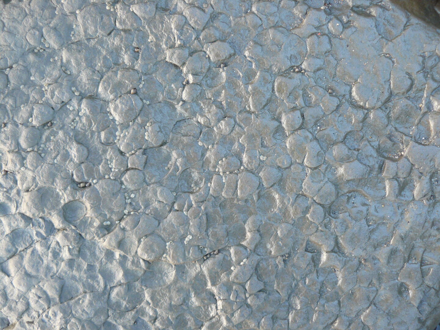 And what process shaped this surface?