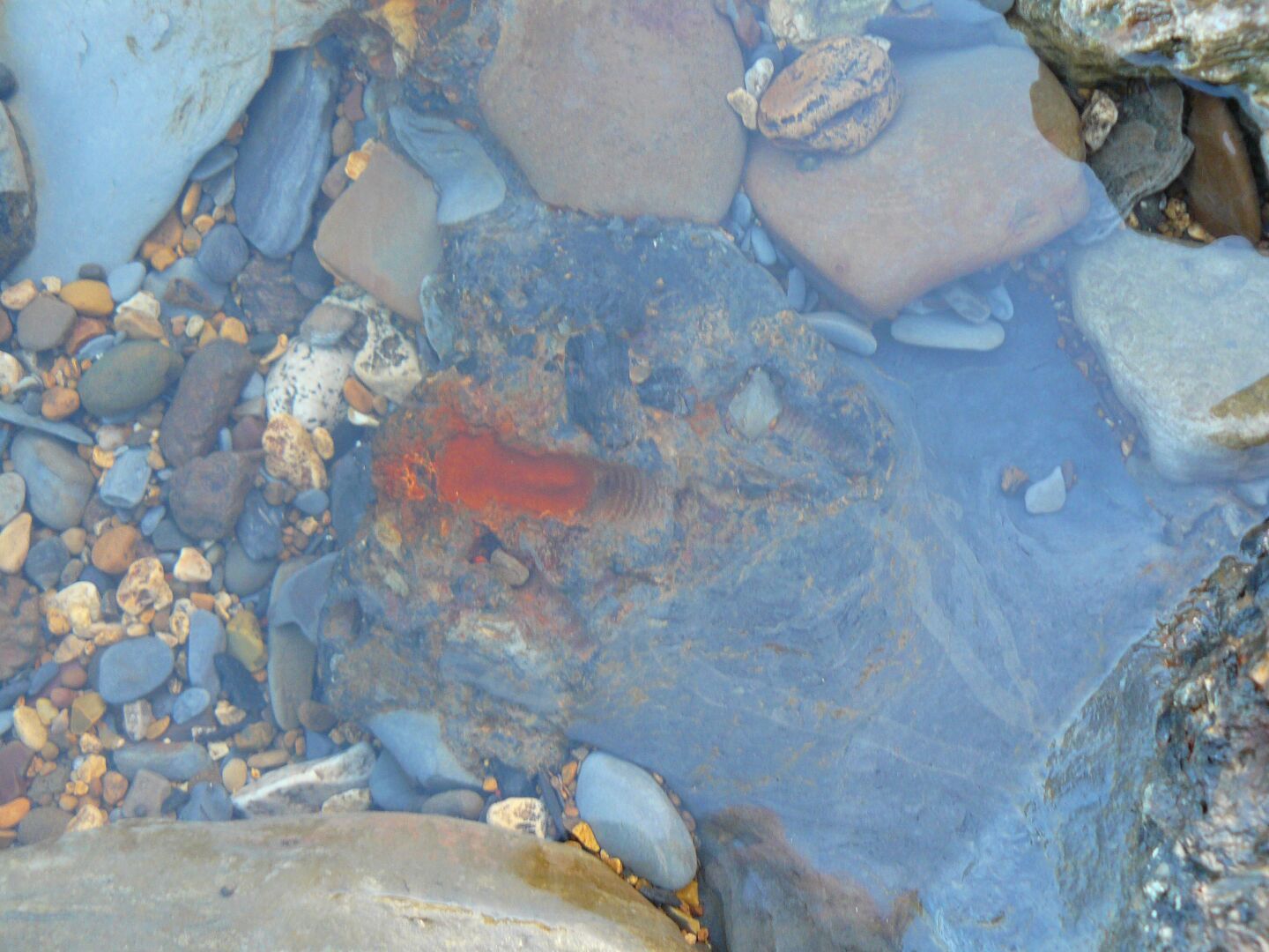 A "normal" beach would never show this colourful diversity.