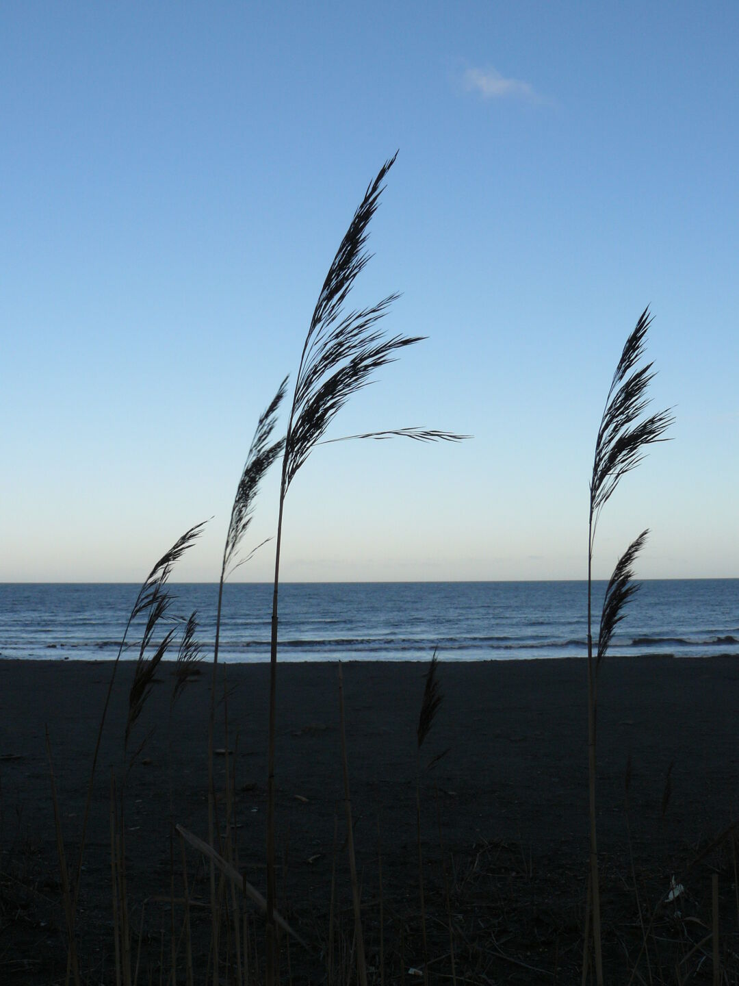 ...and then, good bye, see you next weekend!