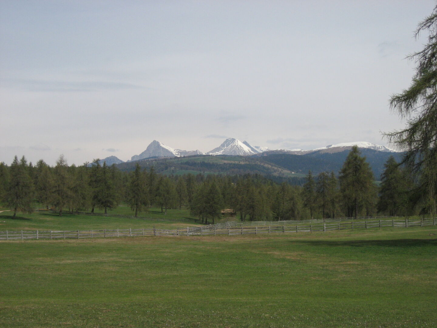 The next day, a nice stroll over some grazing grounds, but no signs of cows yet, only cow poo... looking towards the Großer Ifinger, which we couldn&rsquo;t summit yesterday because of too much snow at the very top.