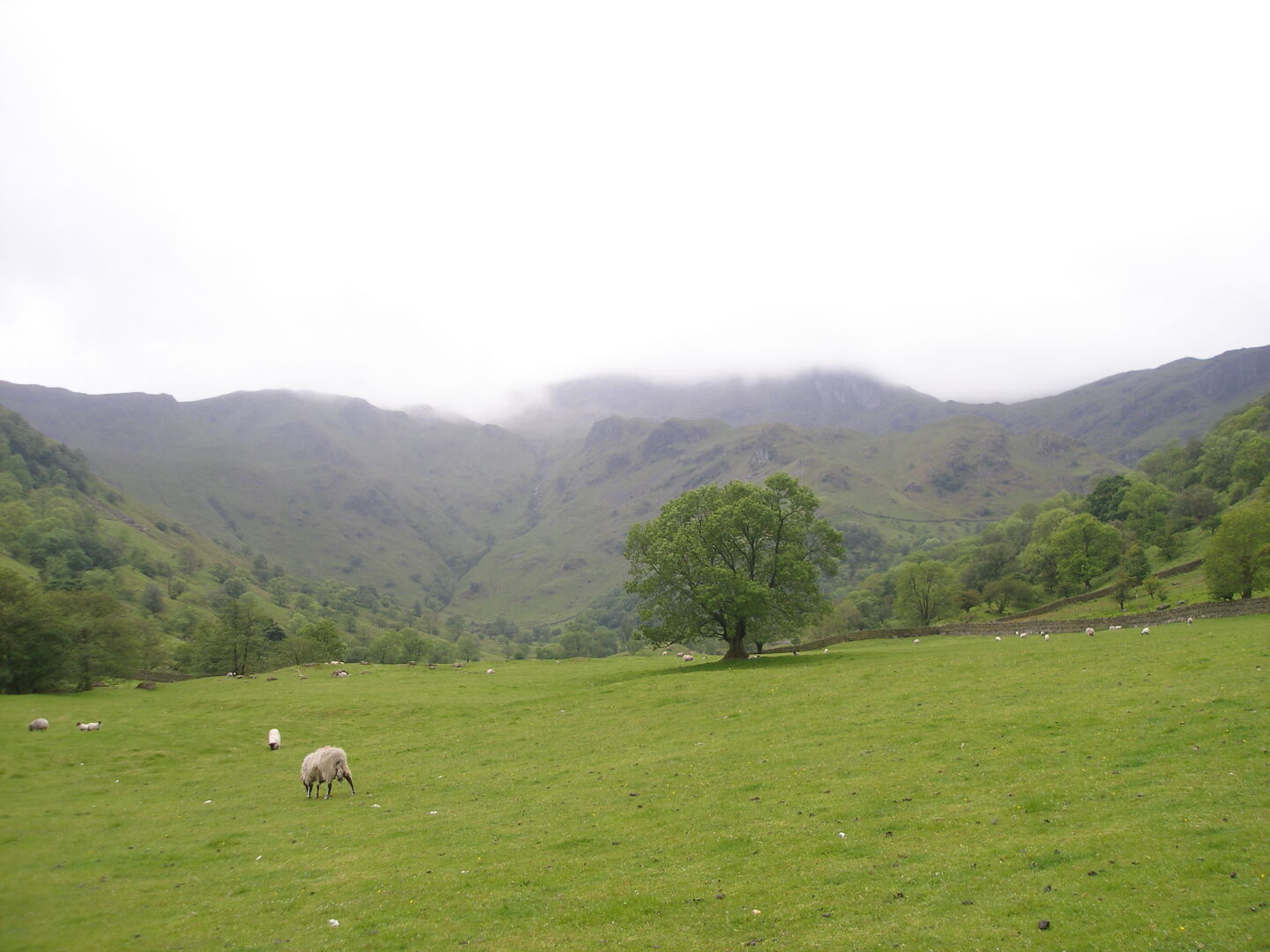 Schönes Wetter im Tal, aber Wolken auf den Gipfeln.