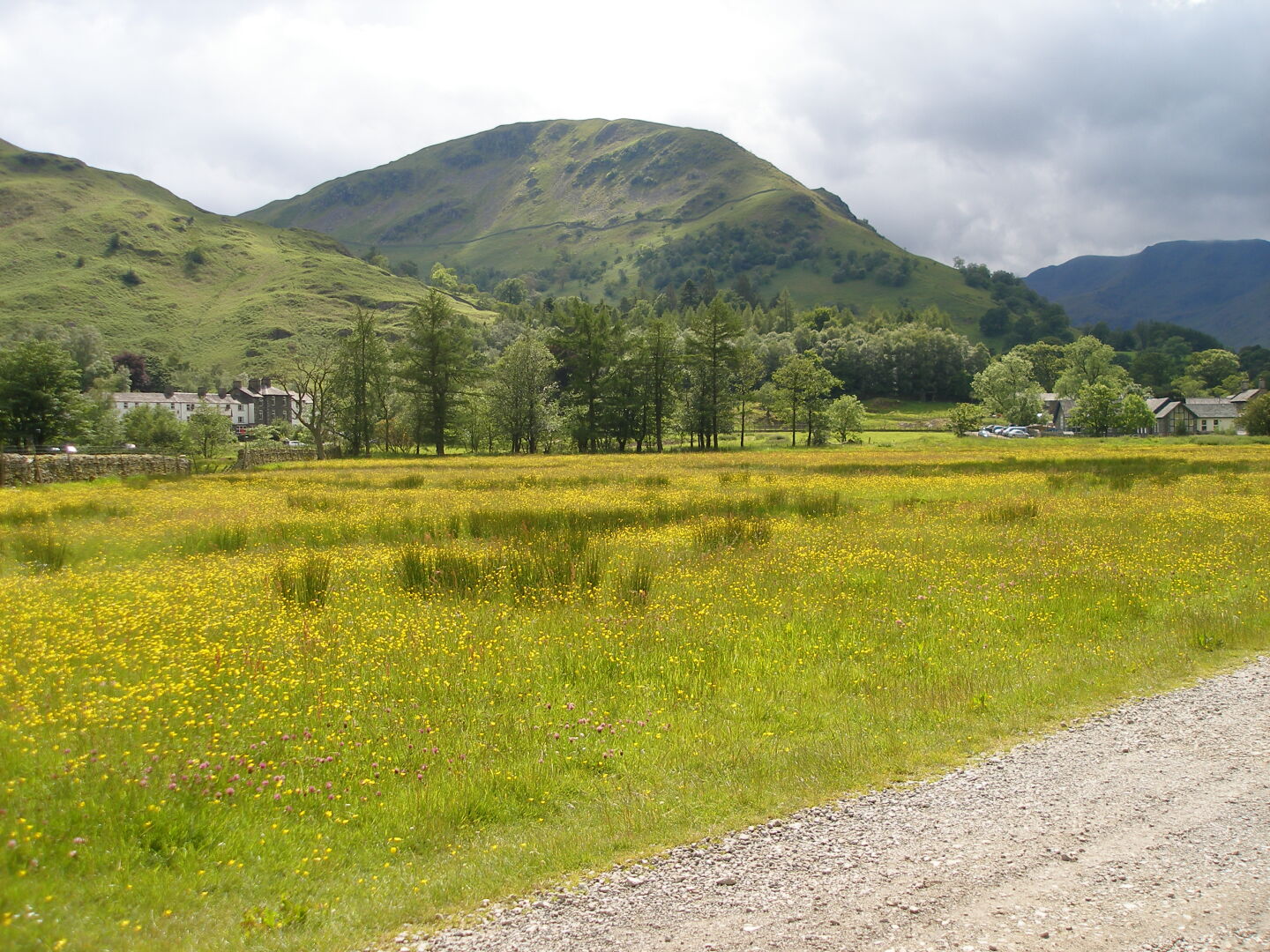 Am oberen Ende des Ullswater gibt es ein paar schöne blühende Wiesen. Hier gilt offenbar Schaf-Verbot. 
