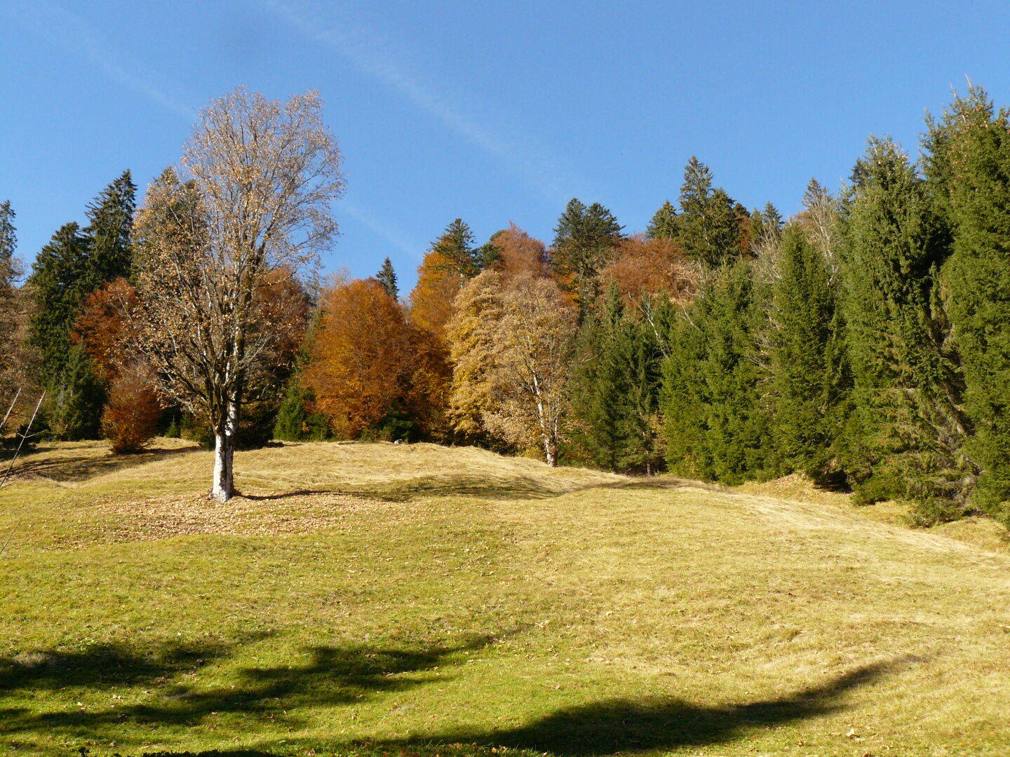 Herbststimmung im Partnachtal.
