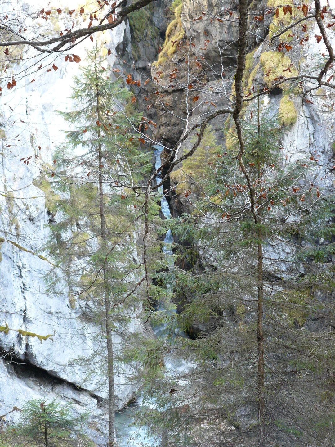 Ob man nach unten in die Schlucht oder nach oben zu den Felswänden guckt, die Landschaft ist beeindruckend. 
