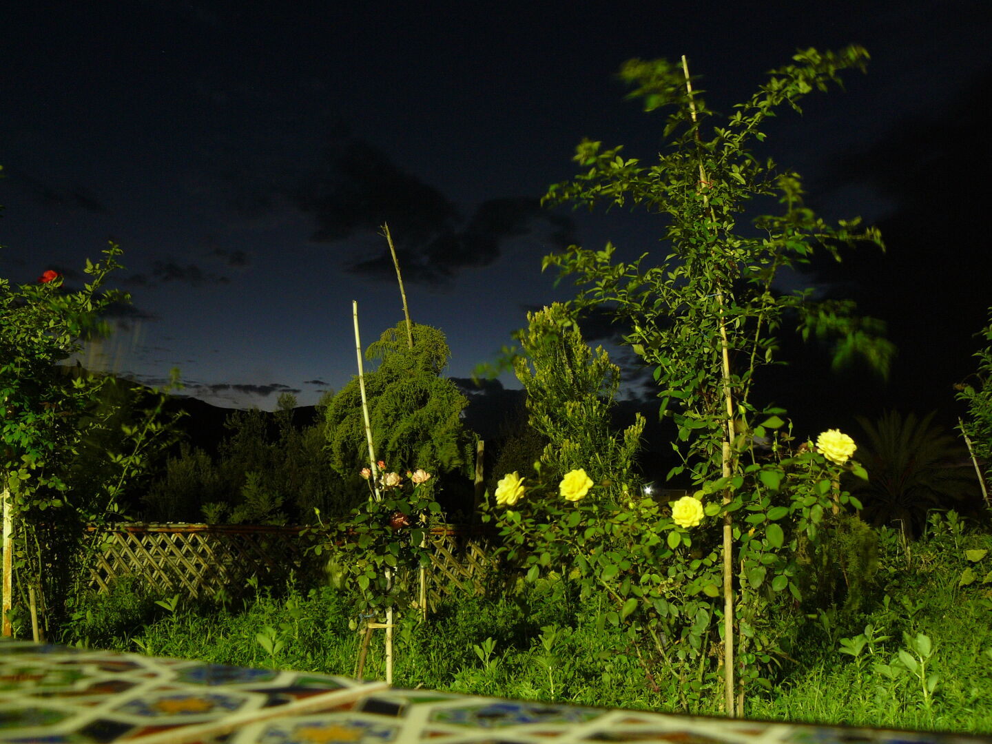 Abends auf der Terasse