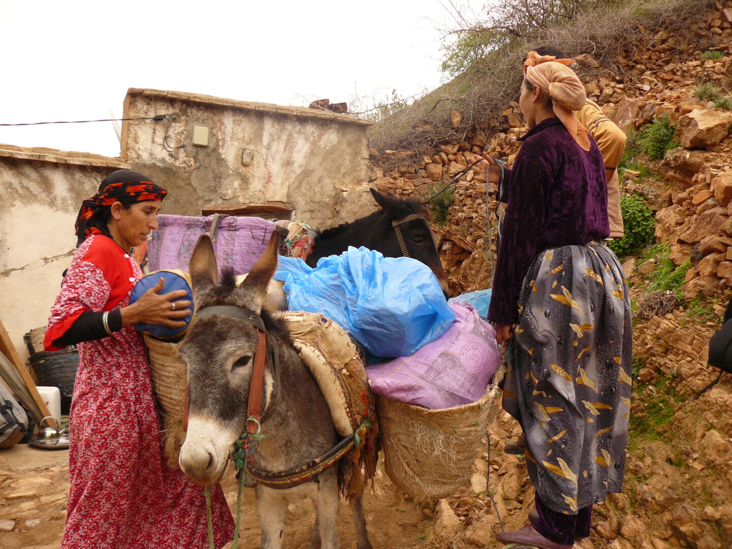 Beladen der Maultiere