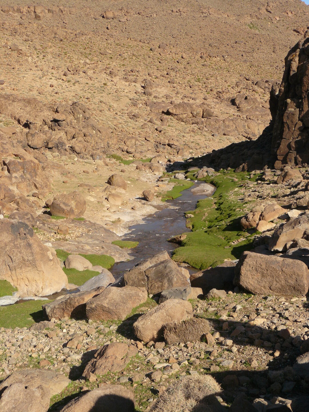 Ach, wenn es doch nur 30° wärmer wäre! Welch Badevergnügen!