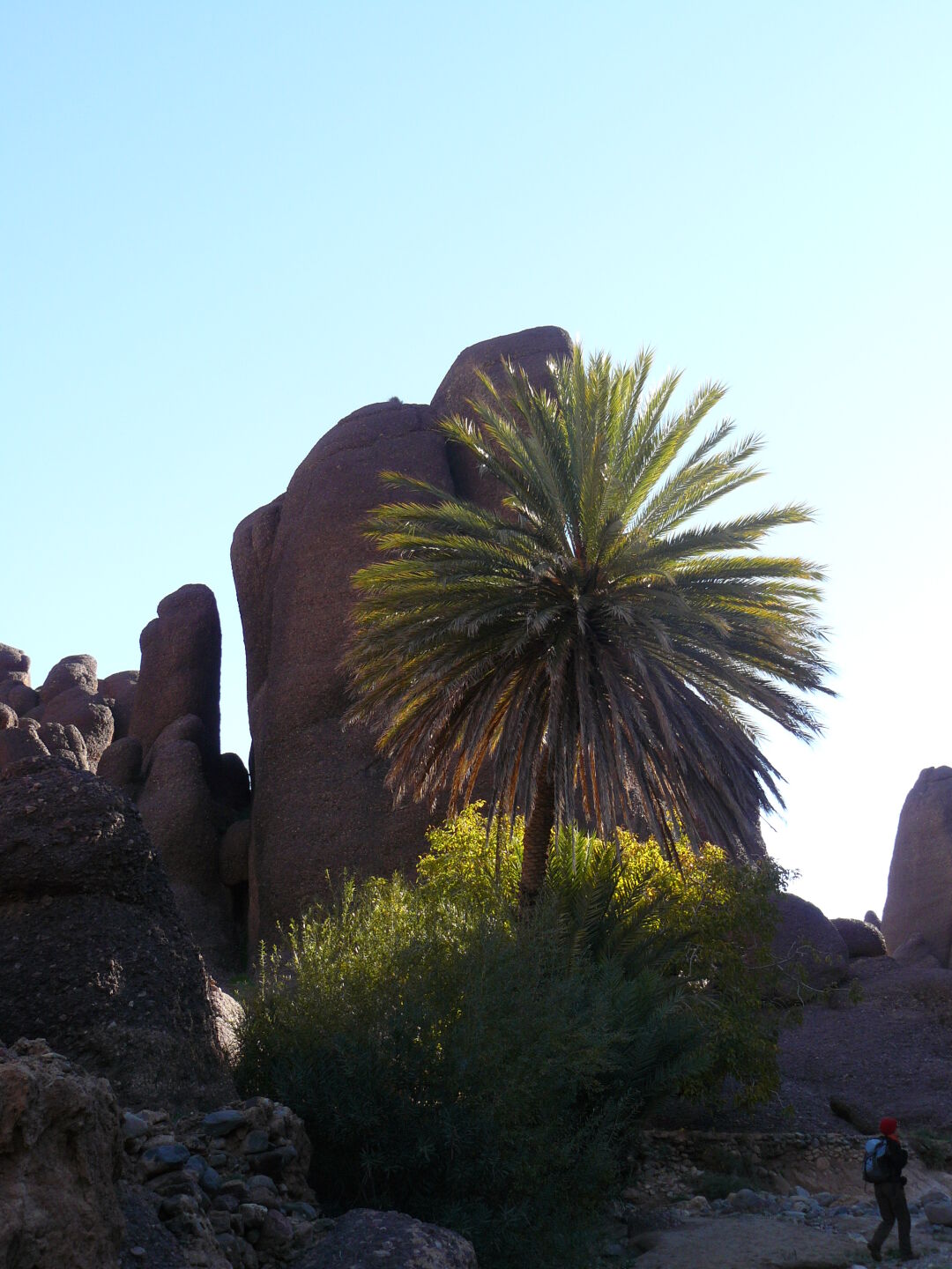 Morgensonne in der Schlucht von Tislit