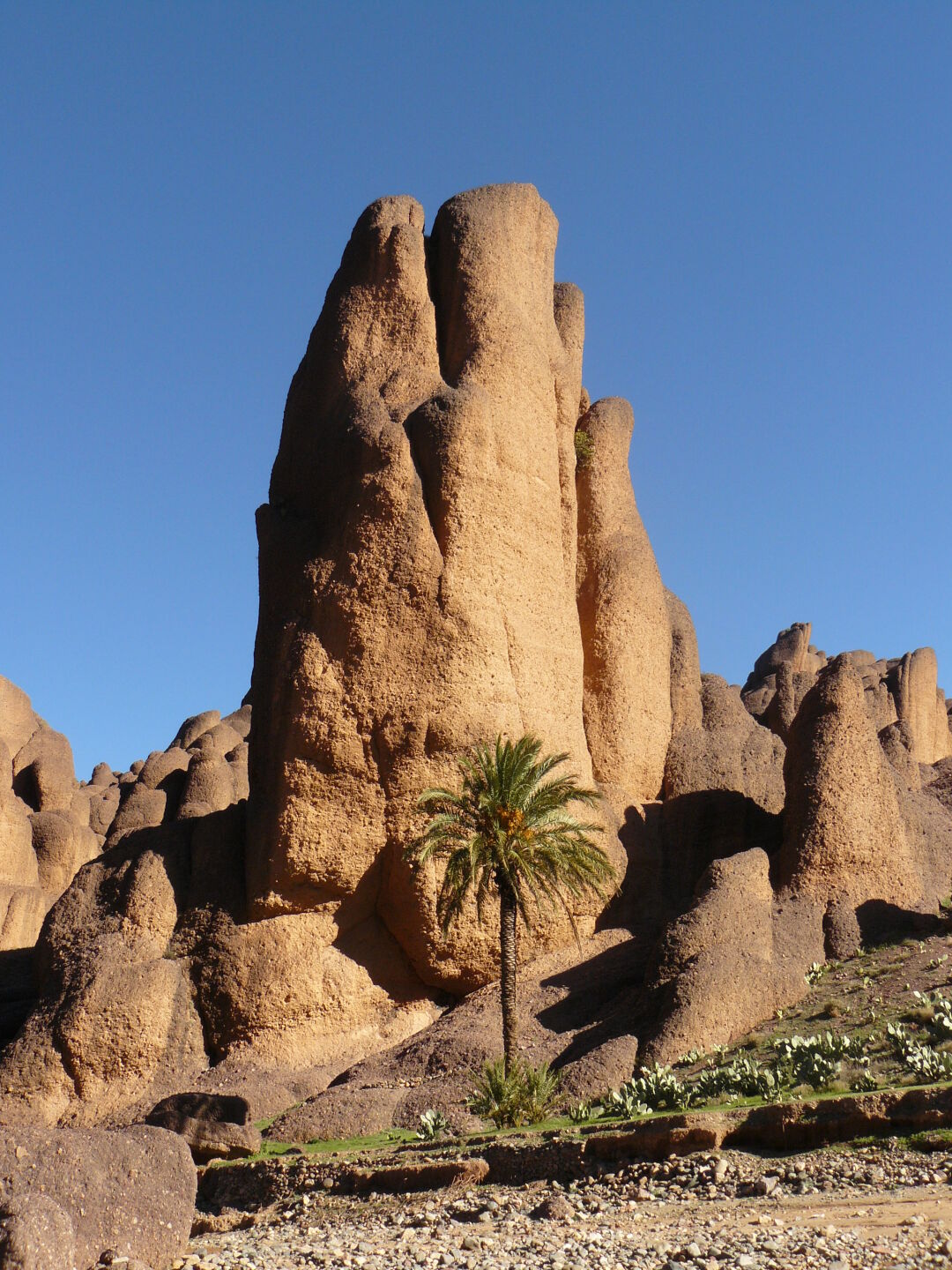 Morgensonne in der Schlucht von Tislit