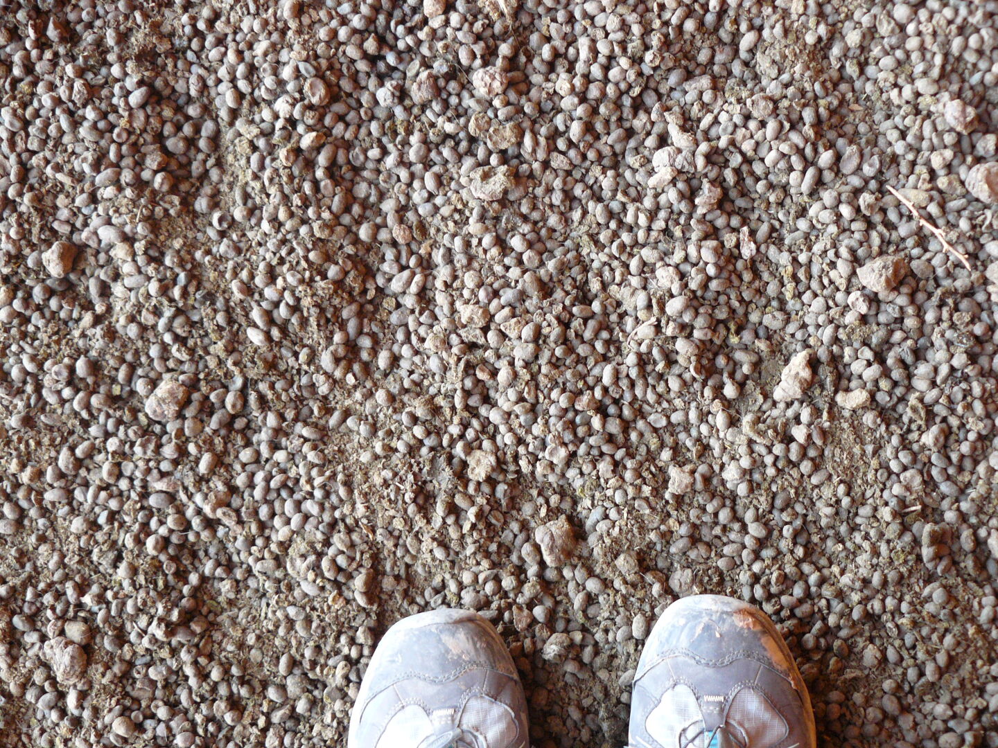 Die Höhle von weitem... und aus der Nähe.