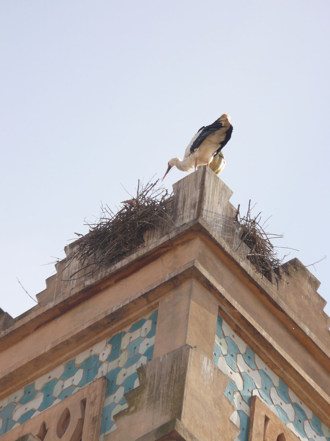 Minarett mit Storch.