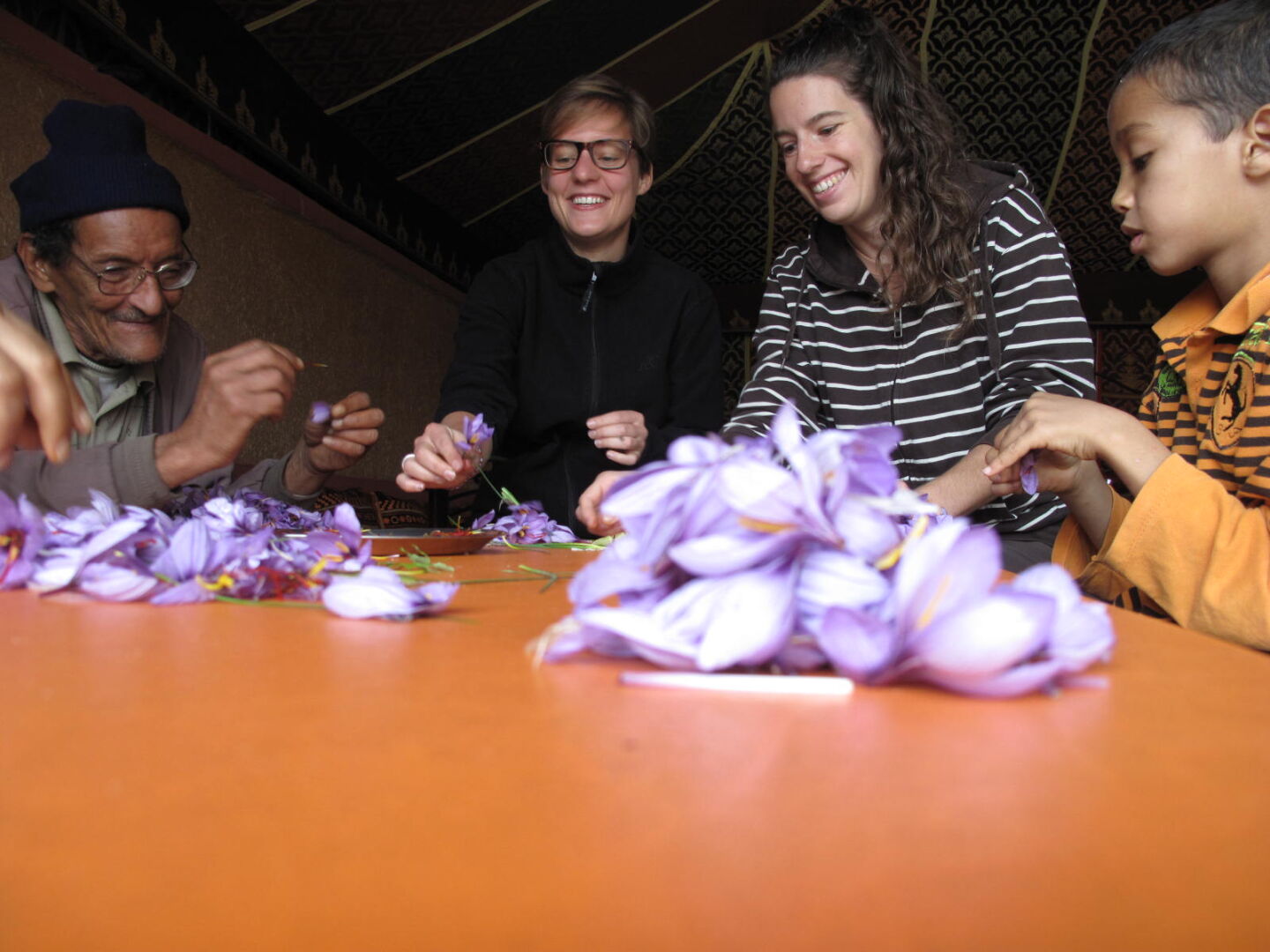 Beim Krokusse pulen. Foto (c) Esther Arnold.
