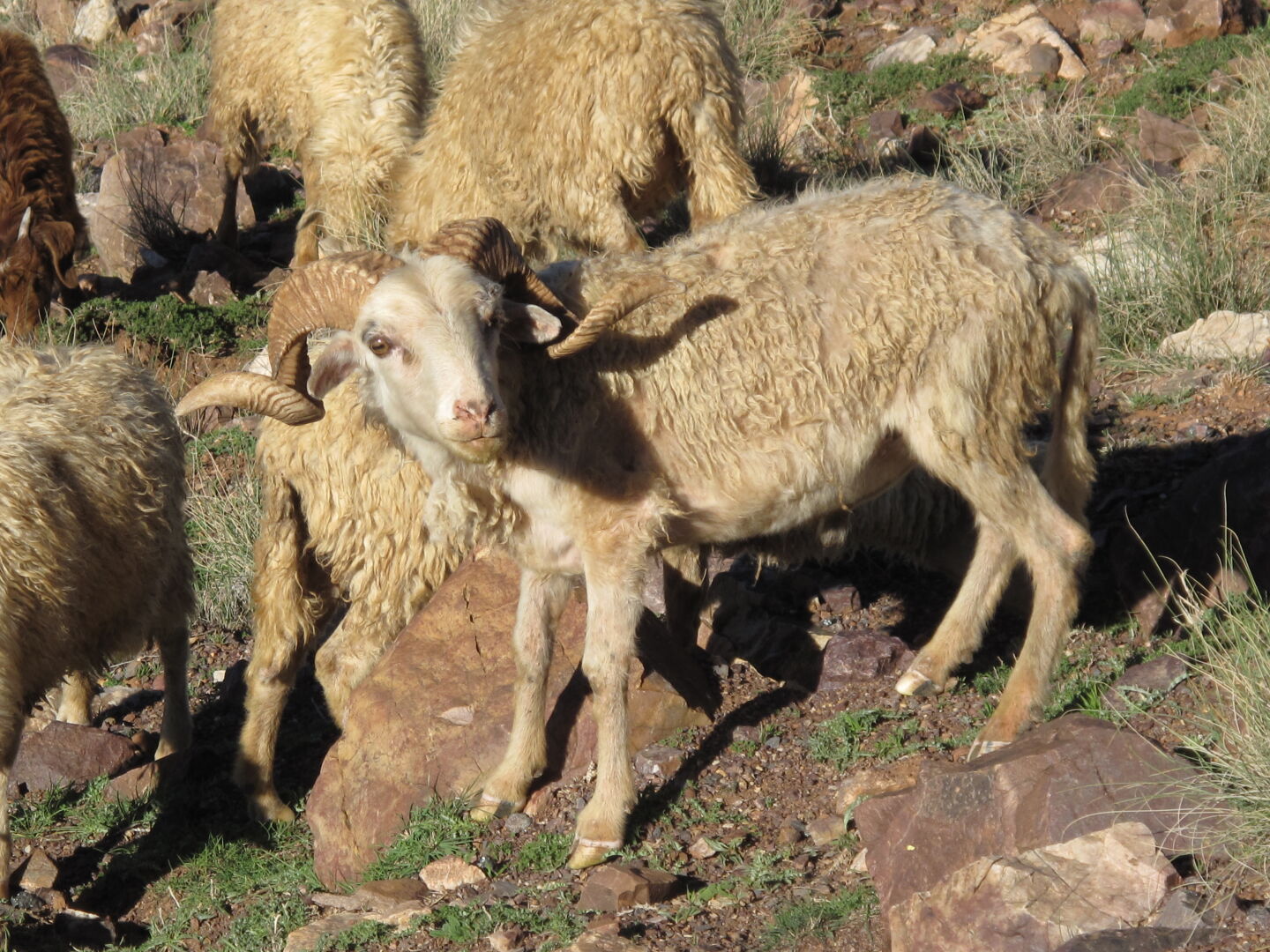 Foto (c) Esther Arnold