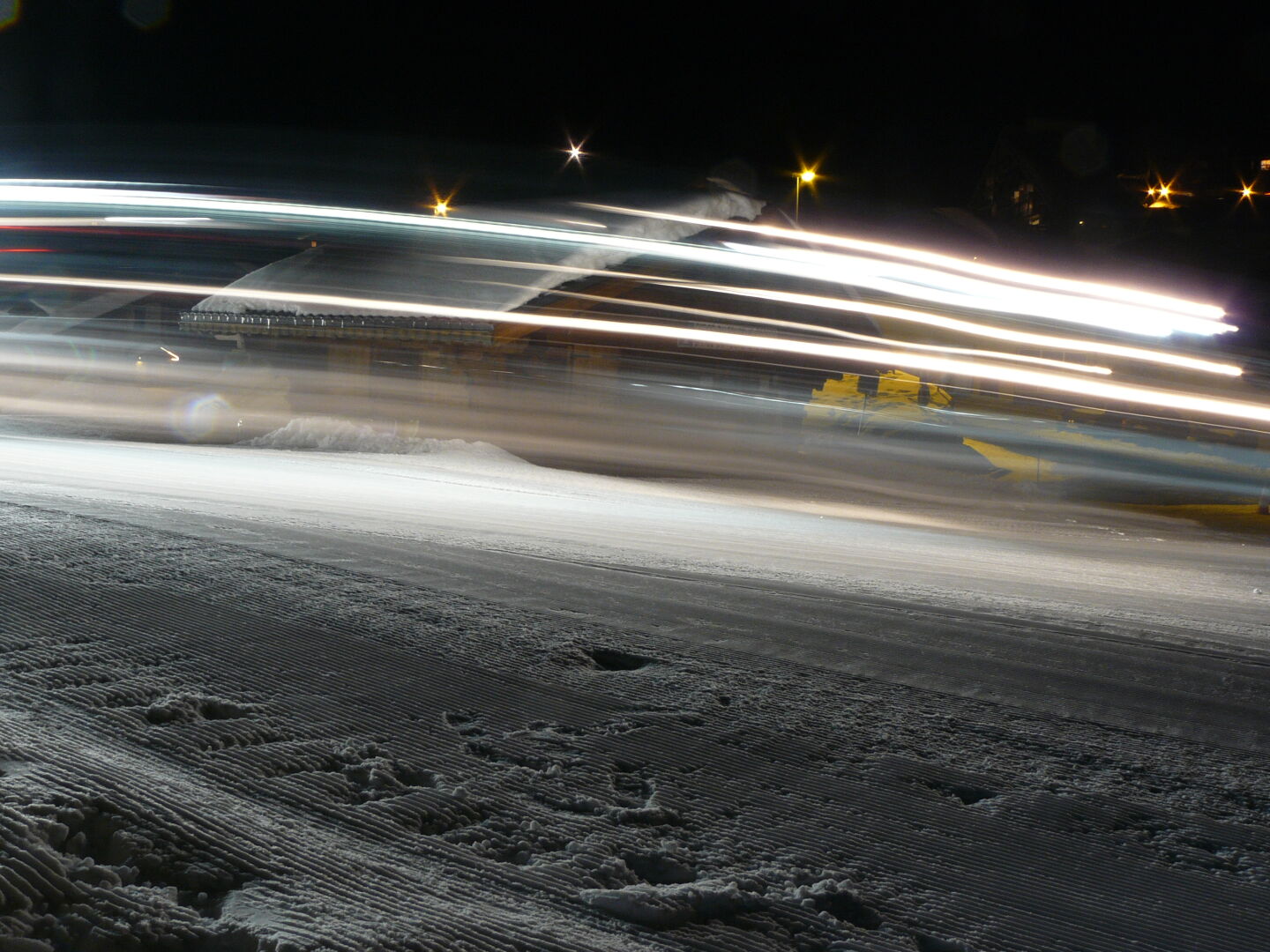 We're not the only ones haunting the night.