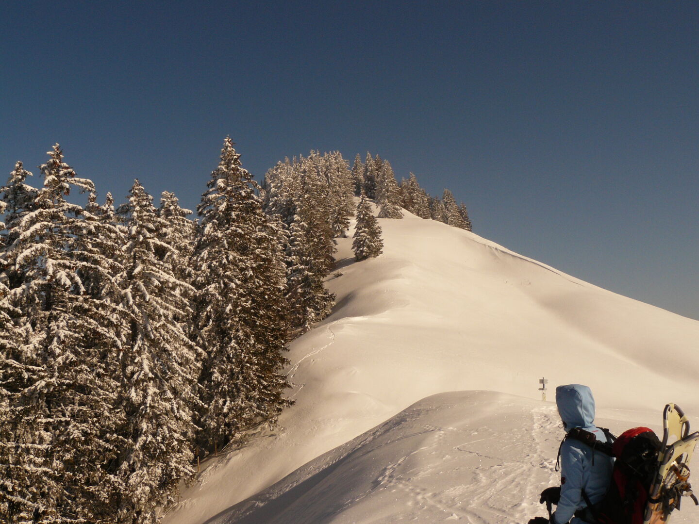 Aussicht vom Grat zwischen Denneberg und Klammen.
